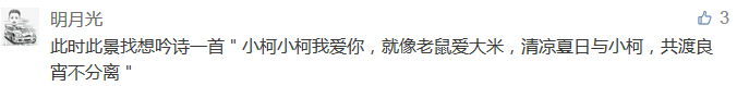 此時此景找想吟詩一首＂小柯小柯我愛你，就像老鼠愛大米，清涼夏日與小柯，共渡良宵不分離＂-科頤辦公分享